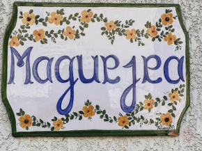 Studio cosy à 50m des Thermes de Lamalou-les-Bains avec terrasse, wifi et animaux acceptés - FR-1-451-46